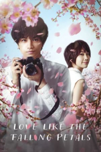 Love Like the Falling Petals (My Dearest, Like a Cherry Blossom) (2022)