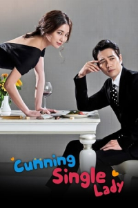 Cunning Single Lady – Season 1 Episode 16 (2014)